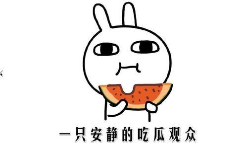 吃瓜网